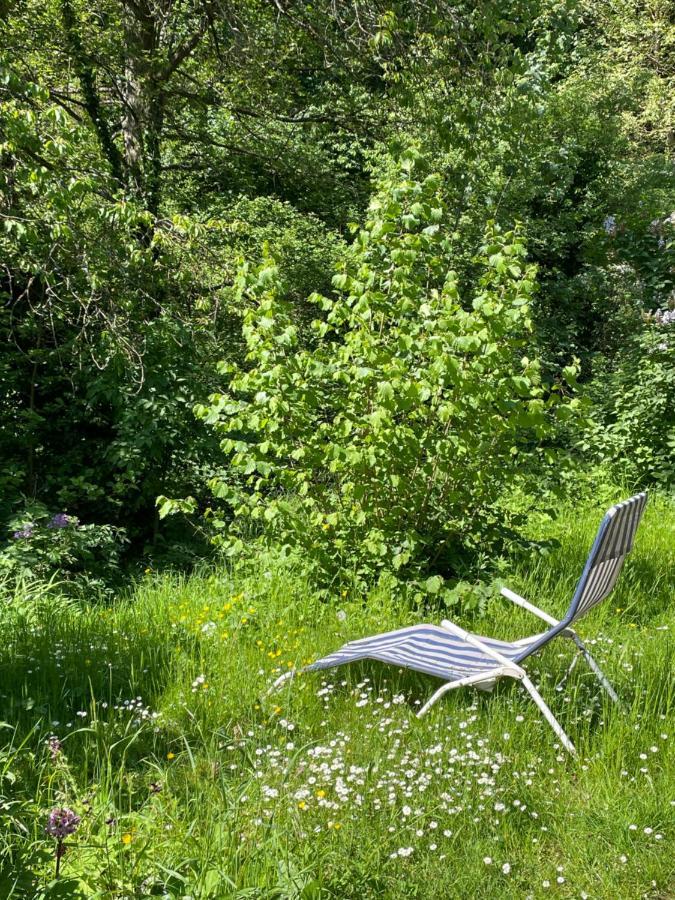 Ferienwohnung Suedliche Weinstrasse Zwischen Wald Und Reben Klingenmünster Dış mekan fotoğraf