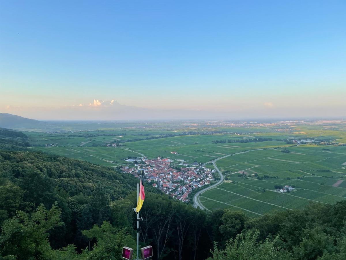 Ferienwohnung Suedliche Weinstrasse Zwischen Wald Und Reben Klingenmünster Dış mekan fotoğraf